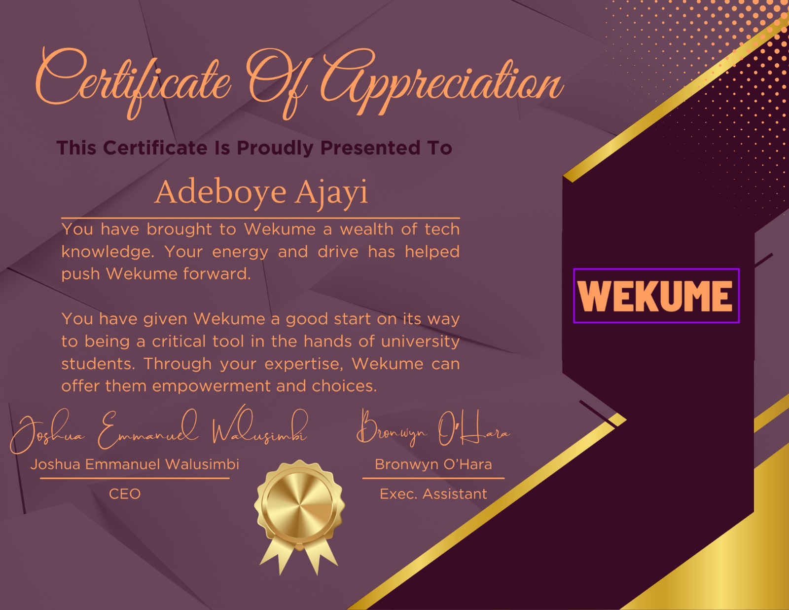 Wekume Authentication System - Main Image